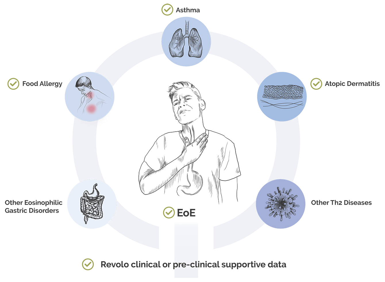 ‘1104 Potential in Allergic Diseases graphic