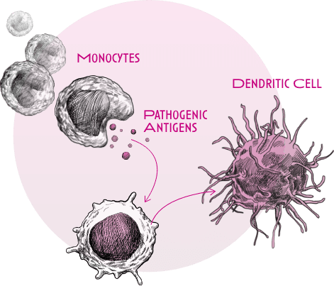 Allergies Diagram